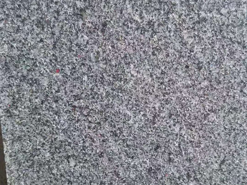 ֥ڻ